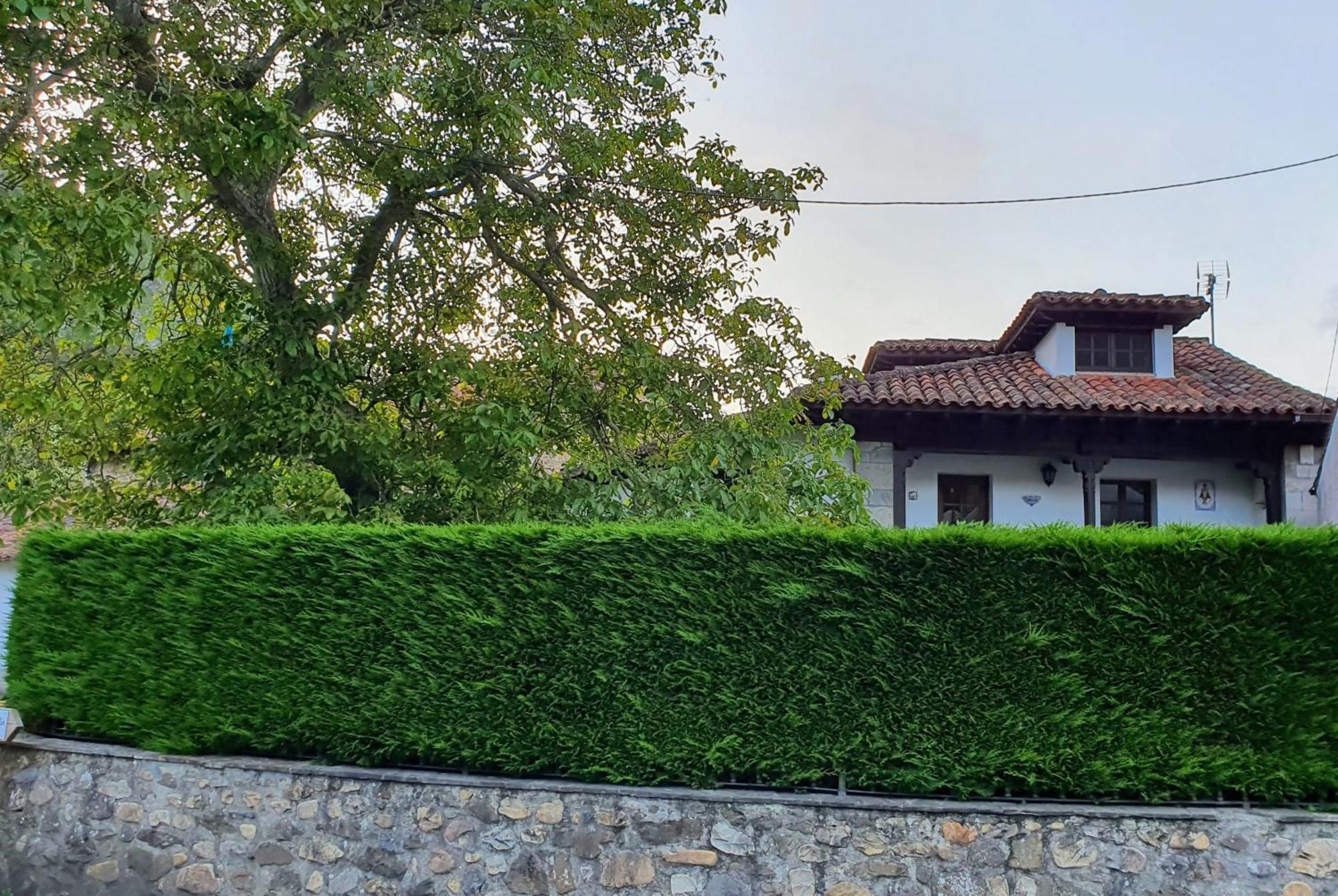 Casa Vacacional Dario Villa Rales  Exterior photo